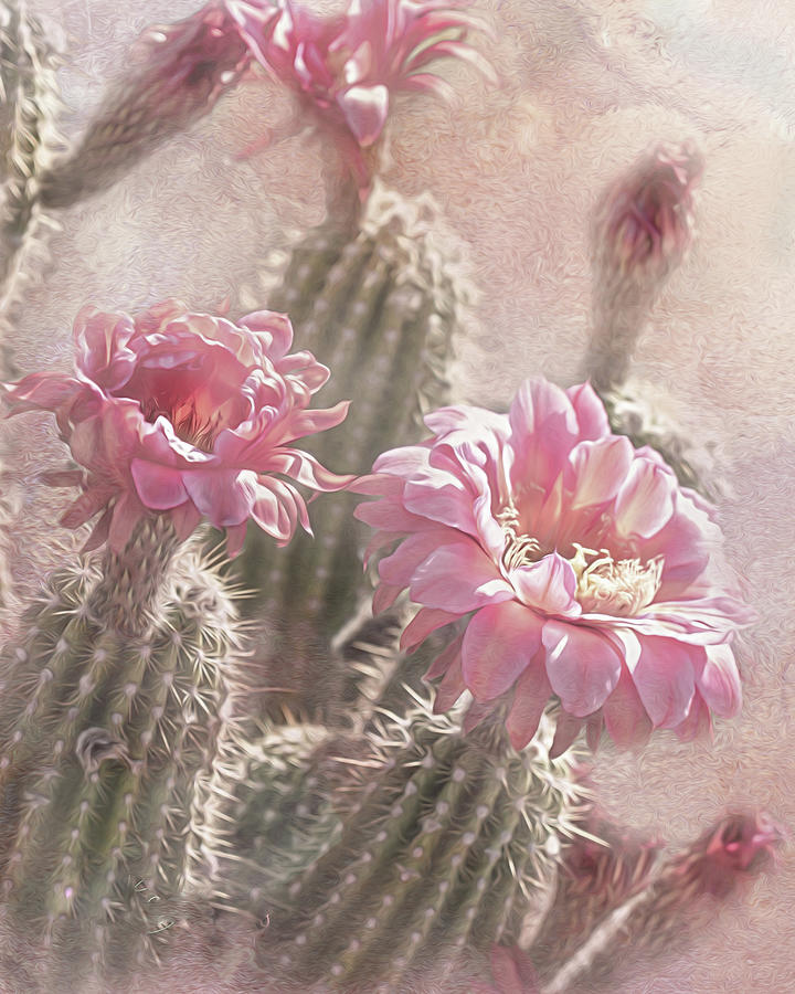 Blooms of Tucson Digital Art by Steve Kelley