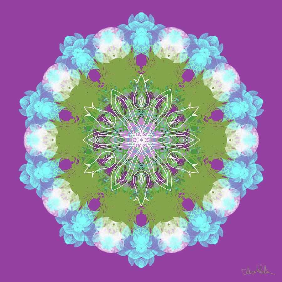 Blossom Mandala Digital Art by Debra Whelan - Fine Art America