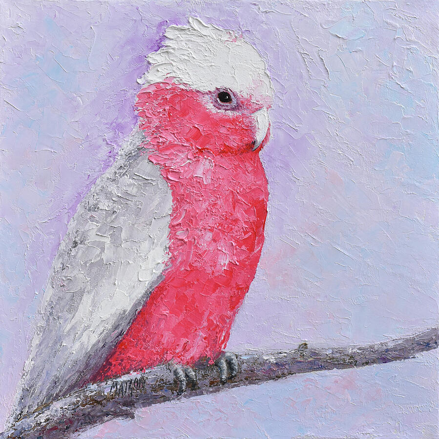 Blossom, the Galah Cockatoo Painting by Jan Matson Blossom, the Galah Cockatoo Painting by Jan Matson