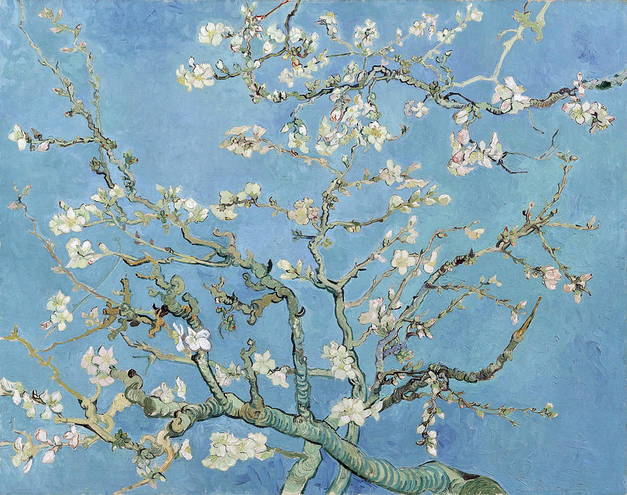 Blossoming Almond Tree Digital Art by Long Shot