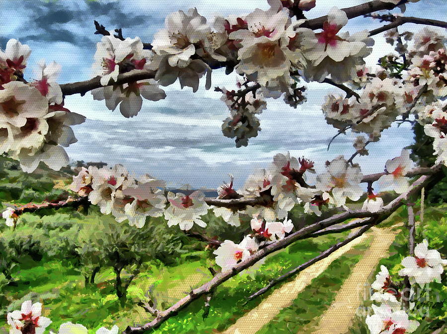 Blossoming Almond Tree Digital Art by Yorgos Daskalakis