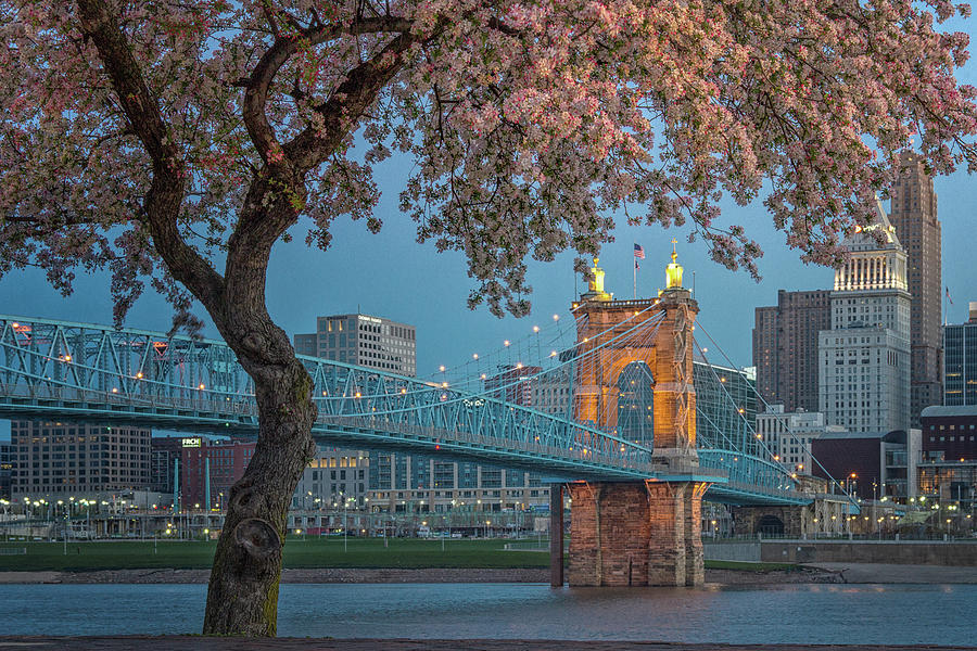 Blossoming Bridge Photograph by Jon Reynolds