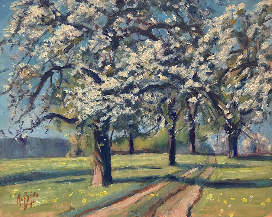Blossoming cherry trees Painting by Nop Briex
