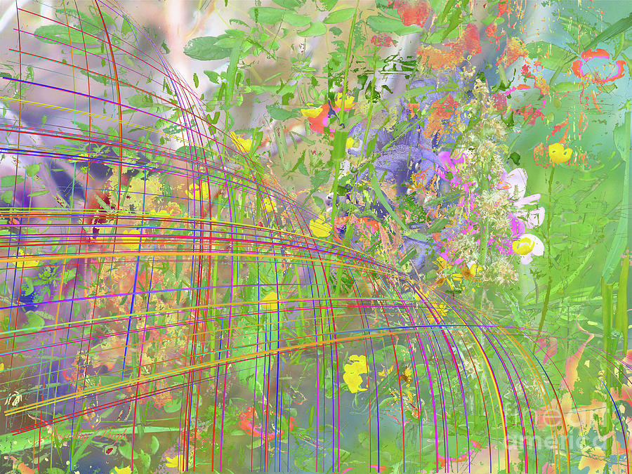 Blossoming Out Digital Art by Dorothy Pugh