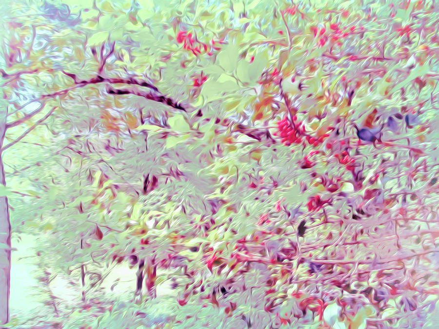 Blossoming Trees in Abstract Photograph by Roberta Byram