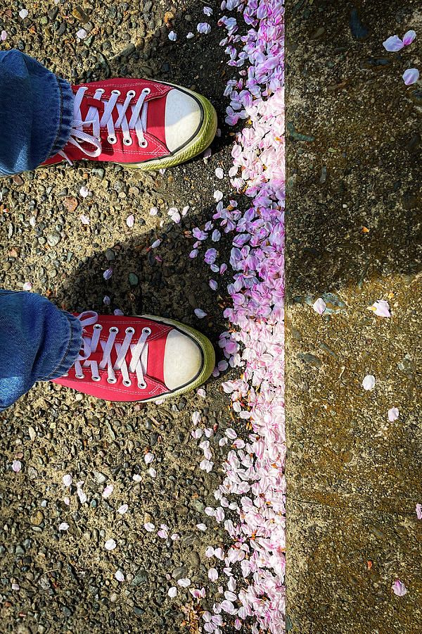 Blossoms and Chucks Photograph by Bill Chizek