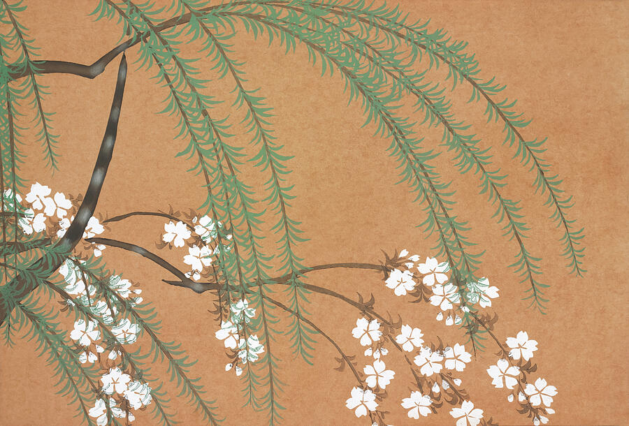 Kamisaka Sekka Painting - Blossoms by Kamisaka Sekka by Mango Art