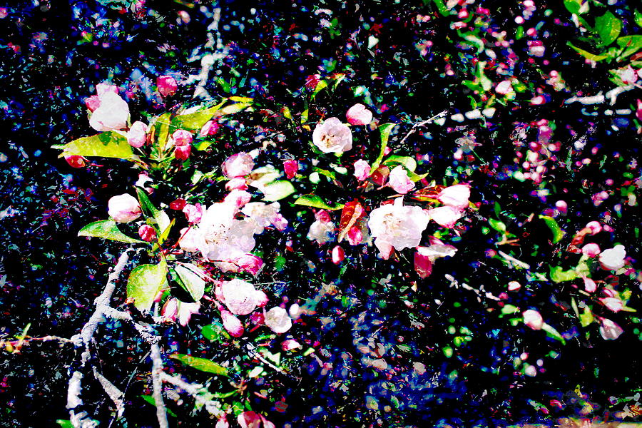 Blossoms Digital Art by Cliff Wilson