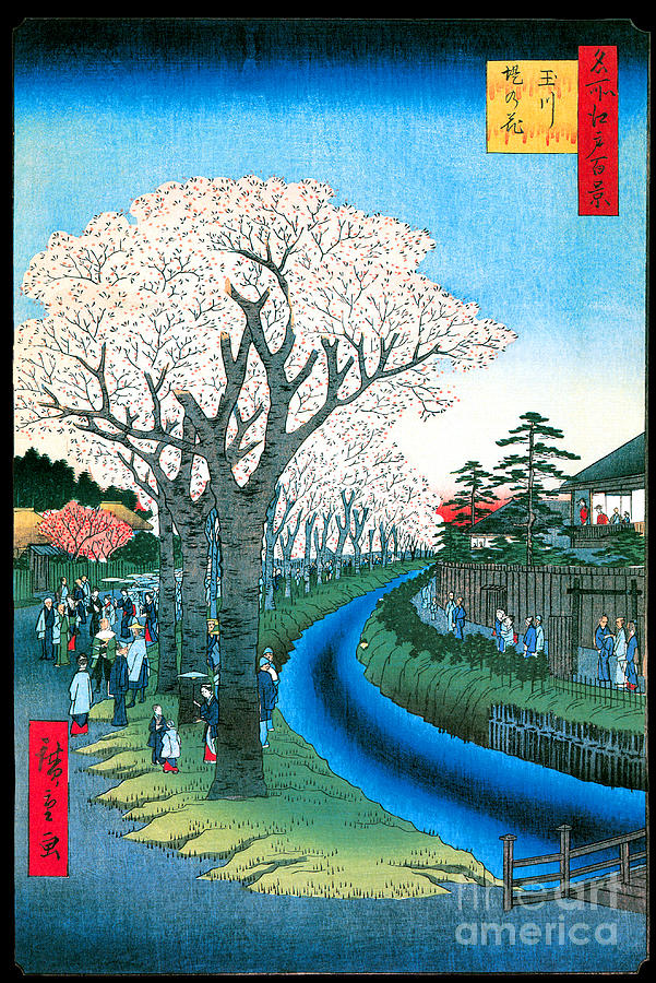 Blossoms On The Tama River Embankment Painting