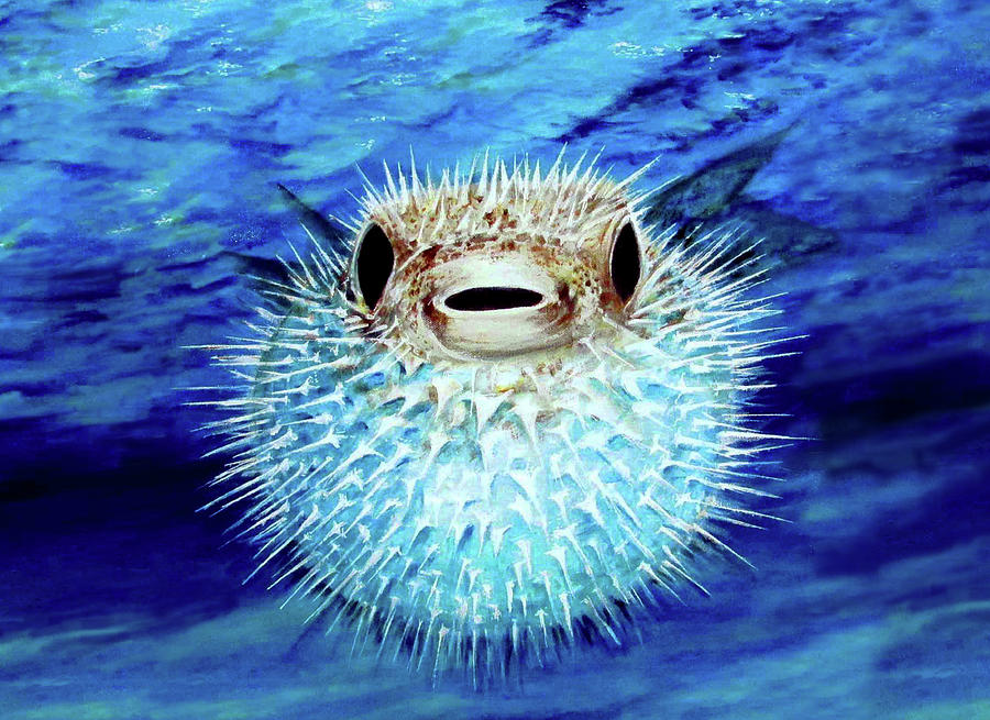 Blow Fish Painting