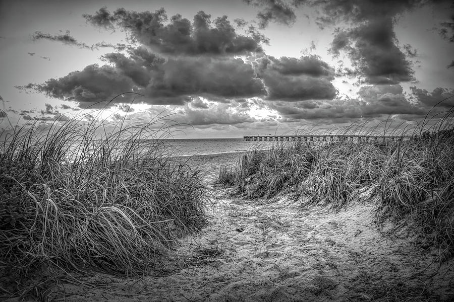 Blowing in the Wind at the Sea in Black and White Photograph by Debra and Dave Vanderlaan