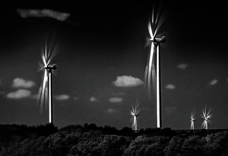 Blowing in the Wind Photograph by Michael Ciskowski