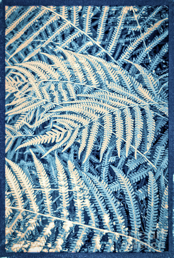 Blue Abstract Foliage Pattern Photograph by Andrea Anderegg