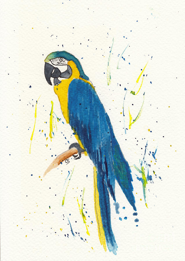 Blue and Gold Macaw Mixed Media by Conni Schaftenaar