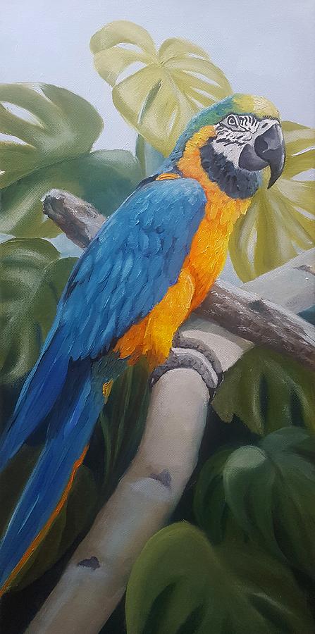 Blue and Gold Macaw Painting by Connie Rish