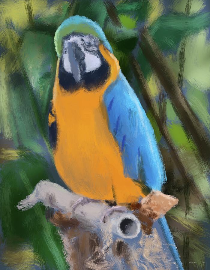 Blue And Gold Macaw Parrot Digital Art by Larry Whitler
