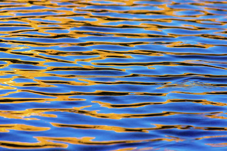 Blue And Gold Water 9 Photograph