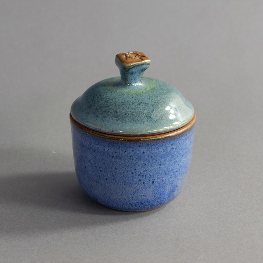 Blue and Green Lidded Jar Photograph by Suzanne Gaff