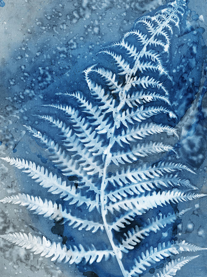 Blue and Grey Fern Leaf Botanical Watercolor Painting by Janine Aykens