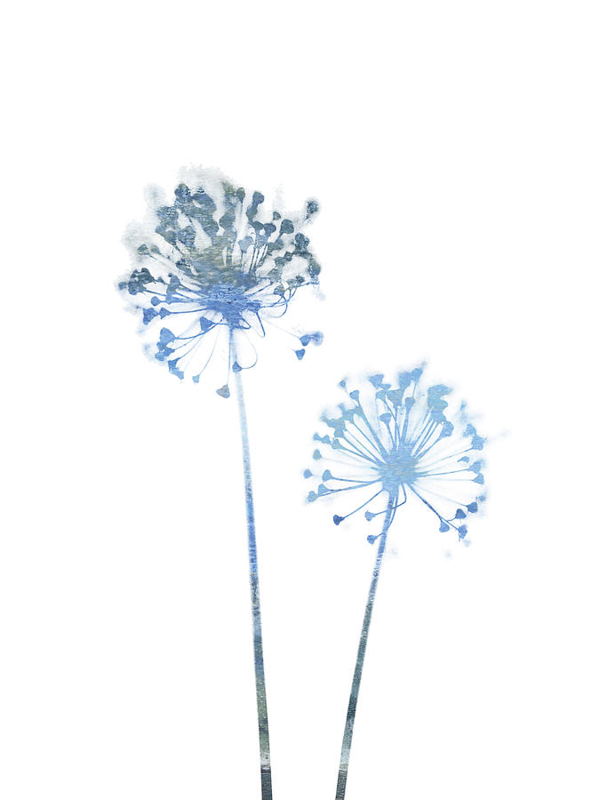 Blue and Grey Minimalist Dandelion Painting by Janine Aykens