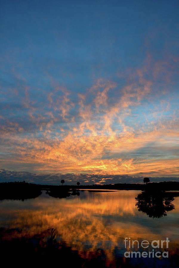 Florida Photograph - Blue and Orange Swampy Sunrise by Brenda Harle