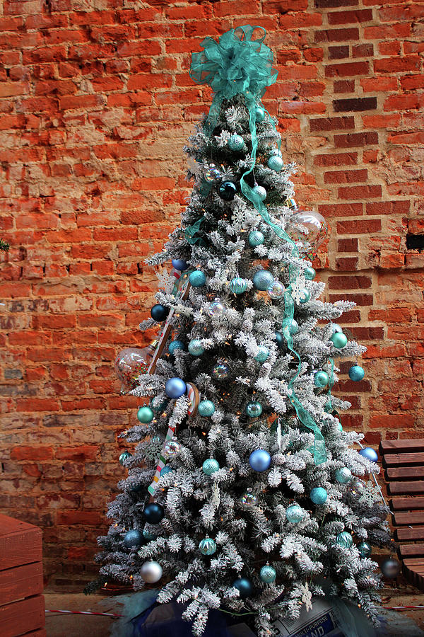 Blue And Silver Tree Photograph by Cynthia Guinn