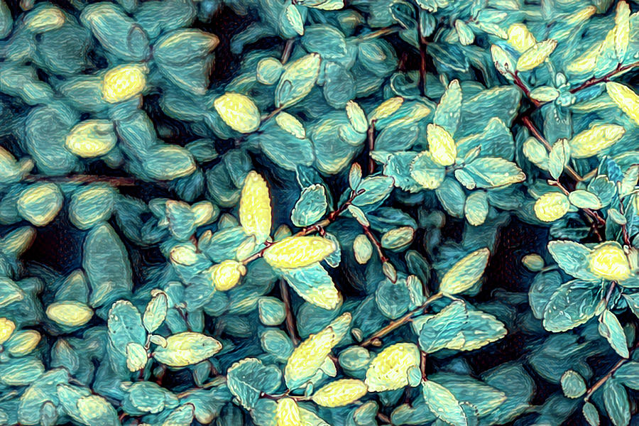 Blue and Yellow Leaves Abstract Photograph by Judy Vincent
