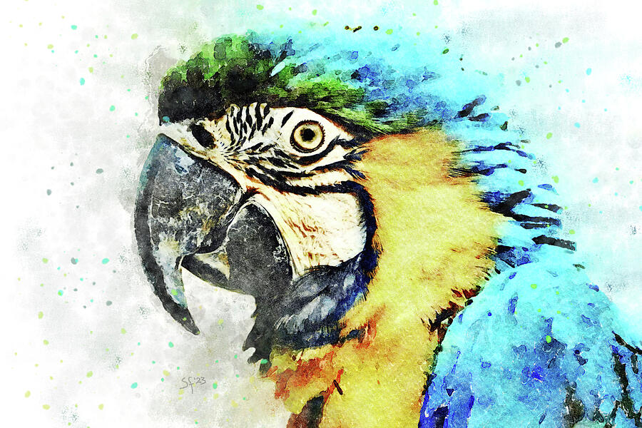 Blue and Yellow Macaw Watercolor Parrot-Bird Painting  Mixed Media by Shelli Fitzpatrick