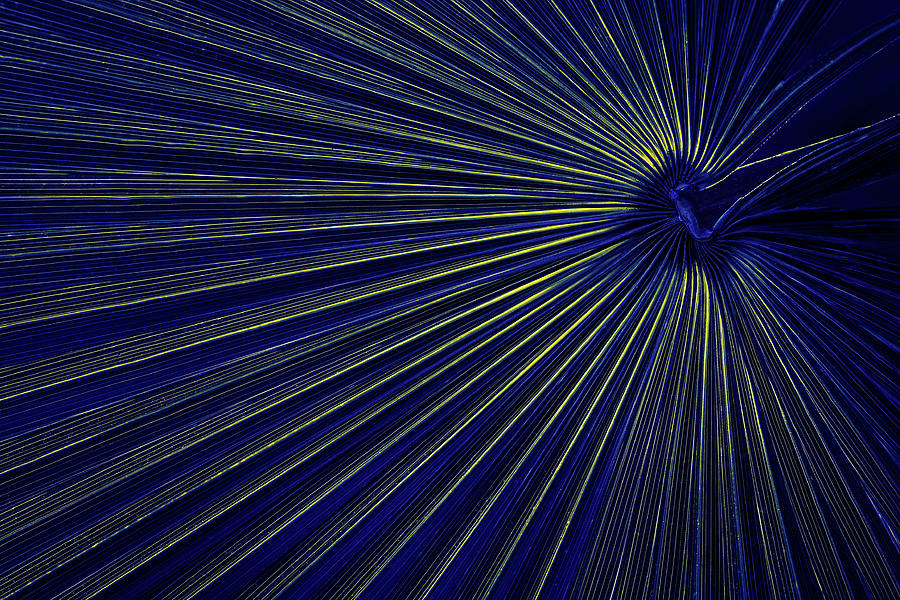Blue And Yellow Radiating Lines Photograph