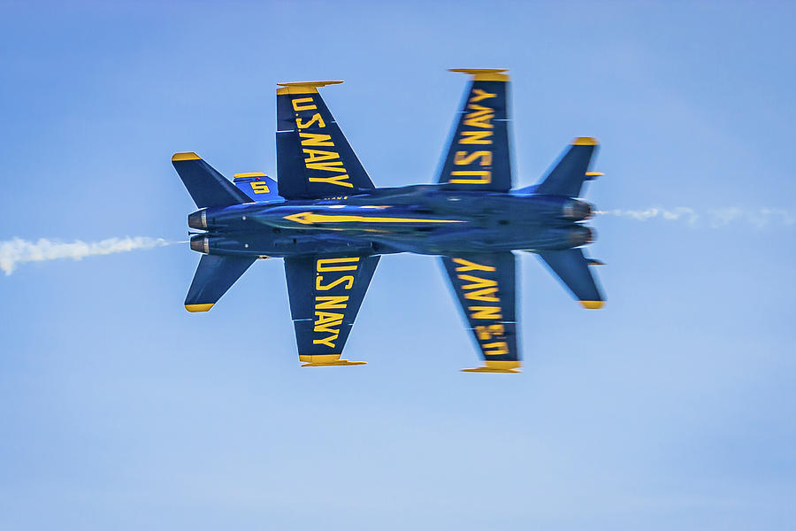 Blue Angel Bow Tie Photograph by Randall Allen