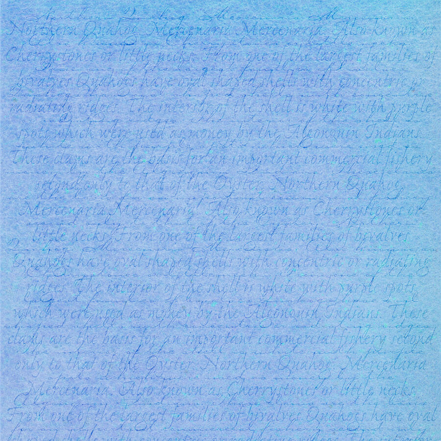 Blue Background with Clam Description Drawing by Jeff Venier