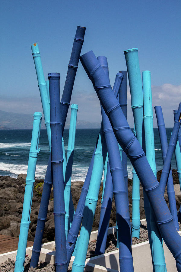 Blue Bamboo Photograph by Denise Kopko