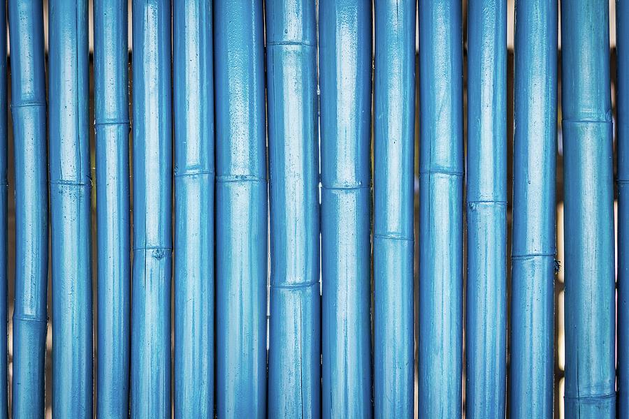 Blue bamboo Photograph by Josu Ozkaritz
