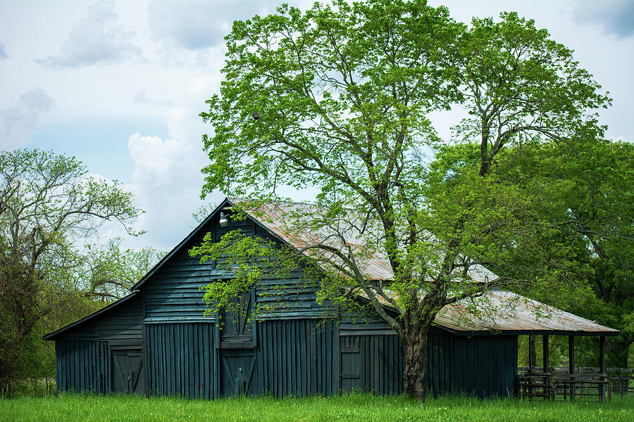 Blue Barn Photograph