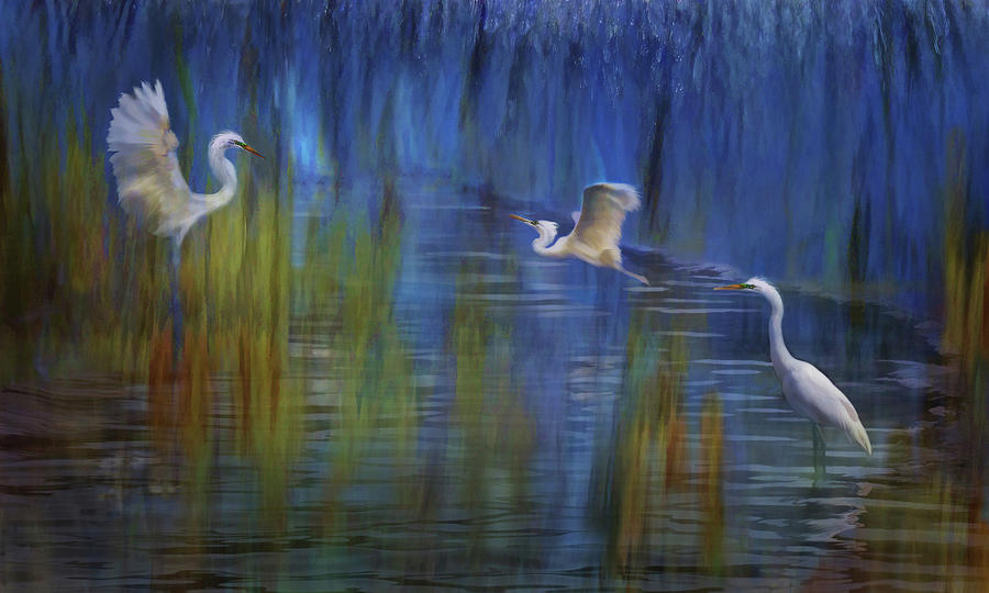 Wildlife Photograph - Blue Bayou II by Melinda Hughes-Berland