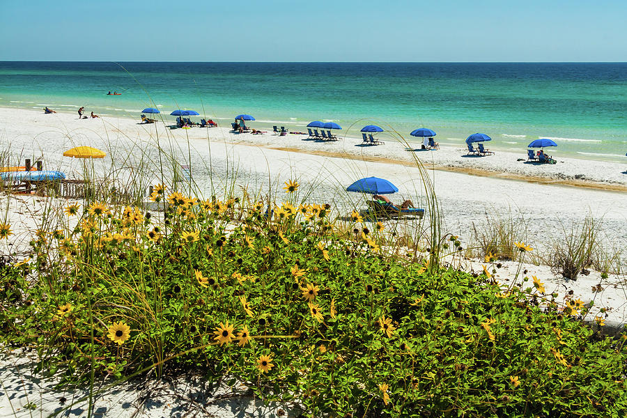 Blue Beach Umbrellas And White Sand Photograph