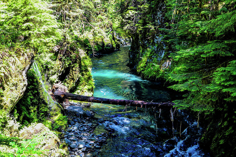 Blue below Photograph by Bryant Sinka - Fine Art America