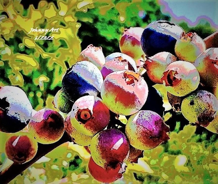 Blue Berries Soaking up some Sun Photograph by John Anderson