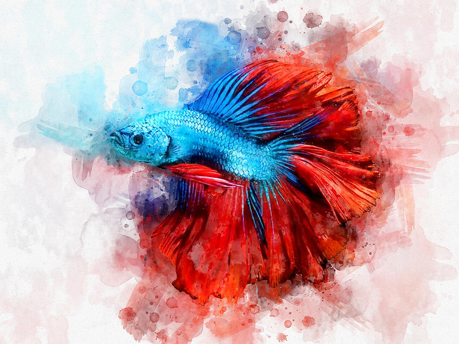 Watercolor Blue Wall Art Downloadable Art Wall decor Betta Fish print Digital Print