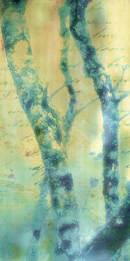 Blue Birch Mixed Media by Minor Details