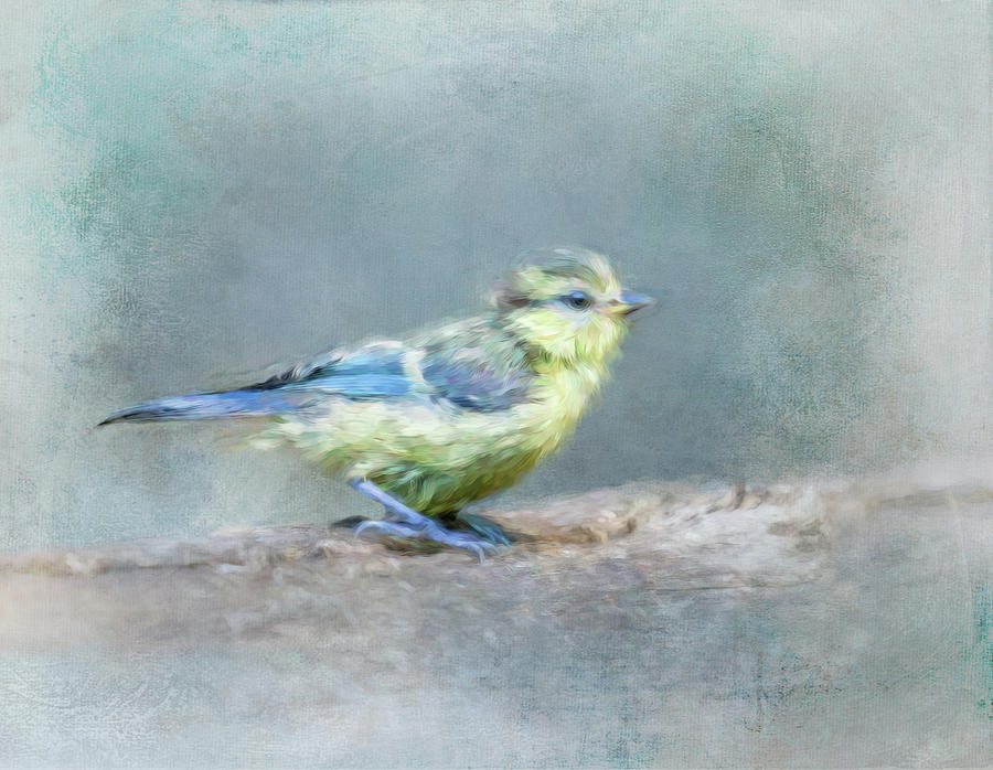 Blue Bird Chick Digital Art by Terry Davis