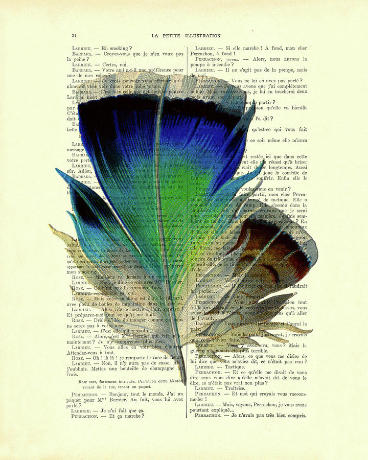 Nature Digital Art - Blue bird feather on a french book page by Madame Memento