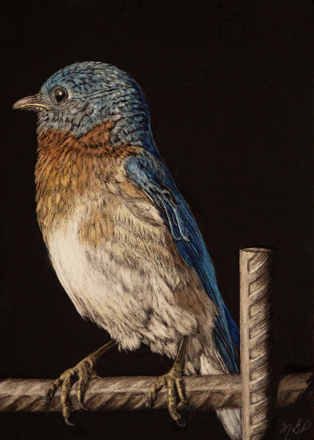 Blue Bird Painting by Margaret Sarah Pardy