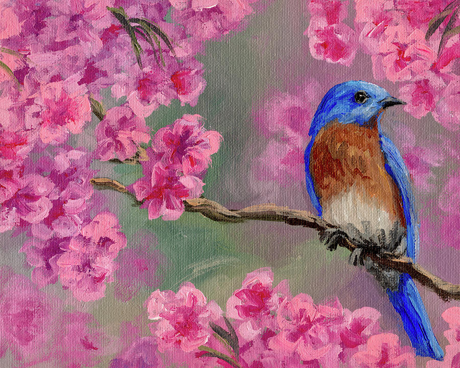 Flower Painting - Blue Bird with Cherry Blossoms by Steph Moraca