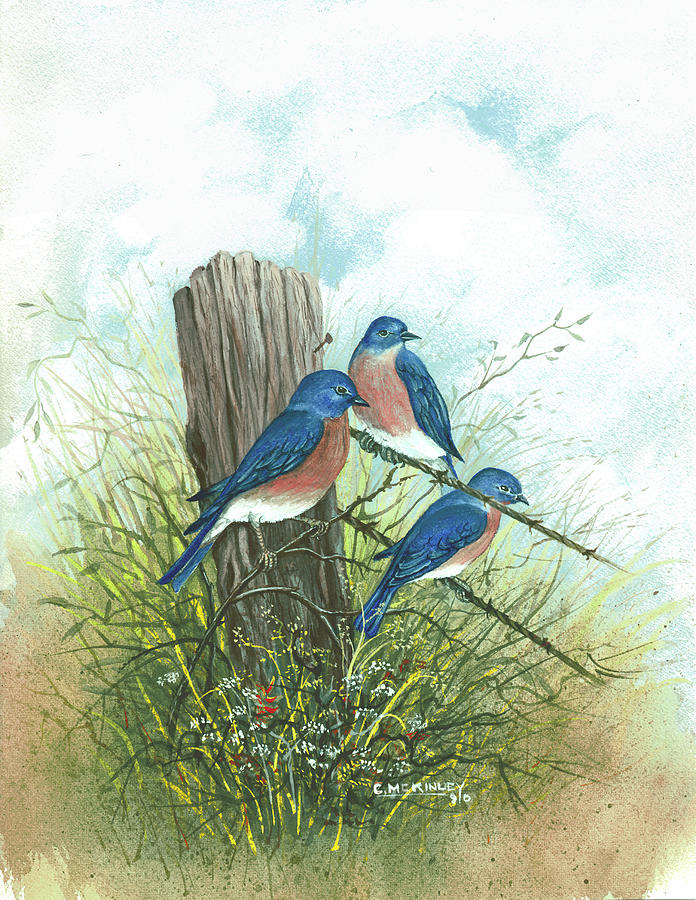 Blue Birds On Barbed Wire Painting by Carl McKinley