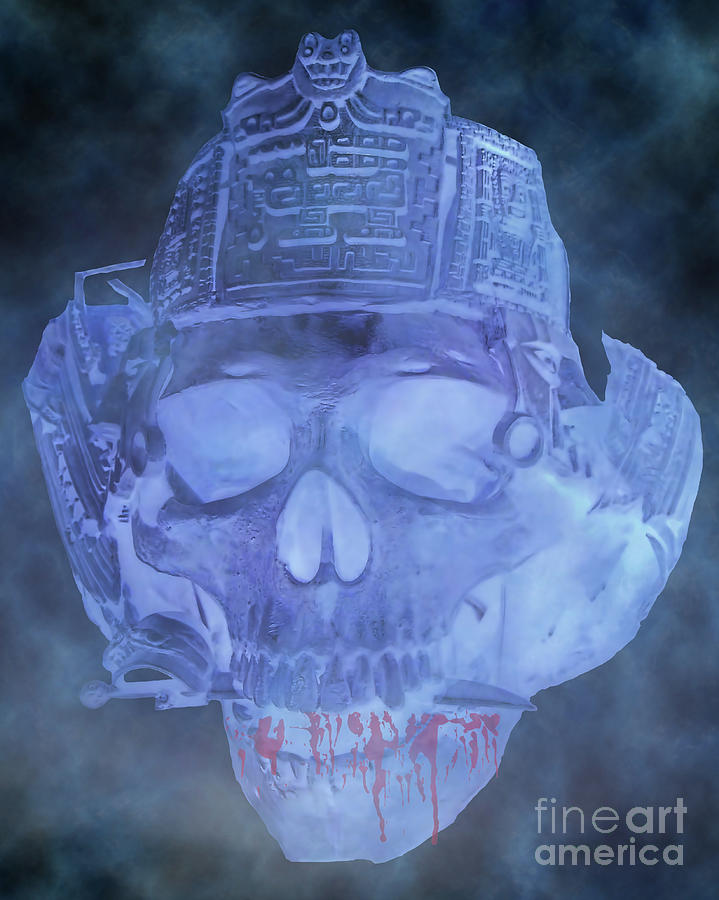 Blue Bloody Pirate Skull Photograph by D Hackett