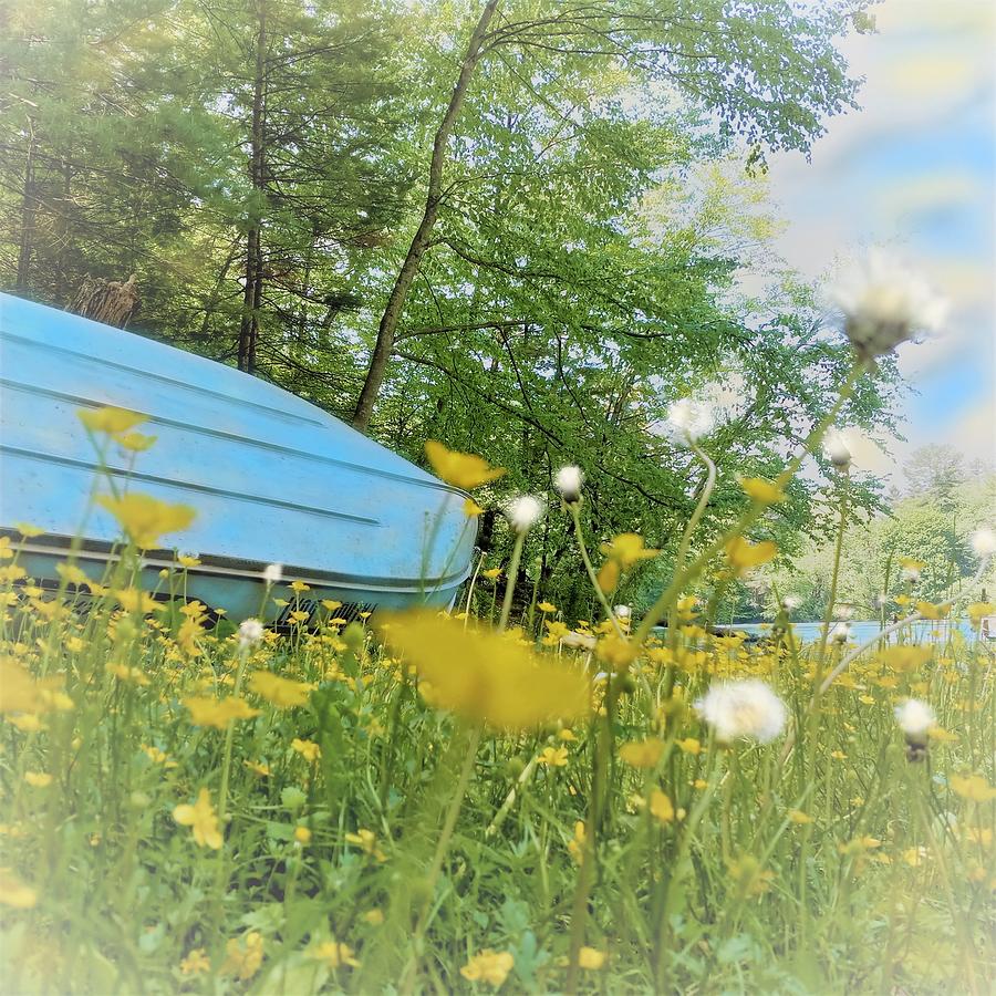 Blue Boat and Buttercups Photograph by Angela Davies
