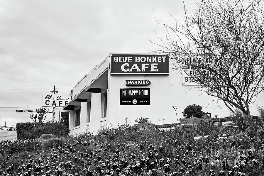 Spring Photograph - Blue Bonnet Cafe - BW by Scott Pellegrin