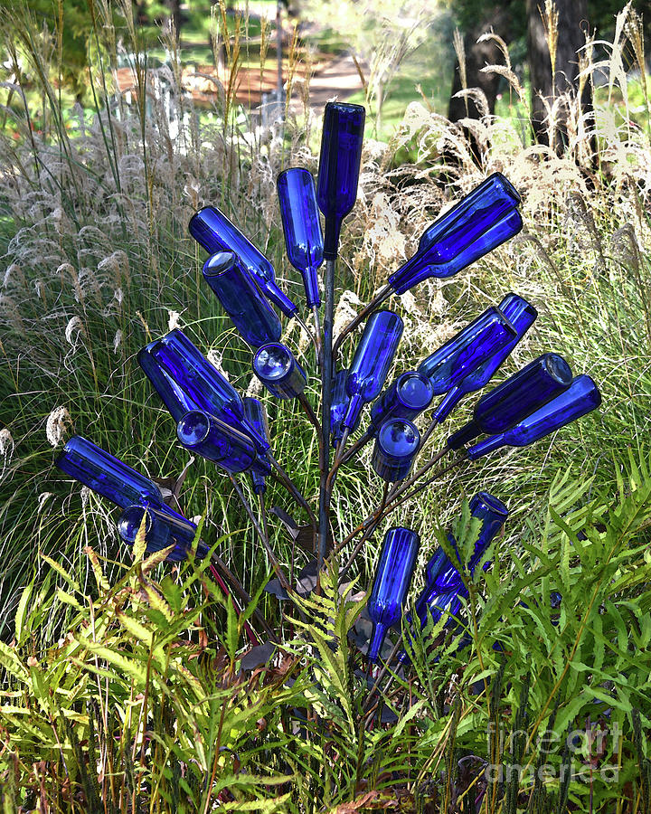 Blue Bottle Tree Photograph by Catherine Sherman