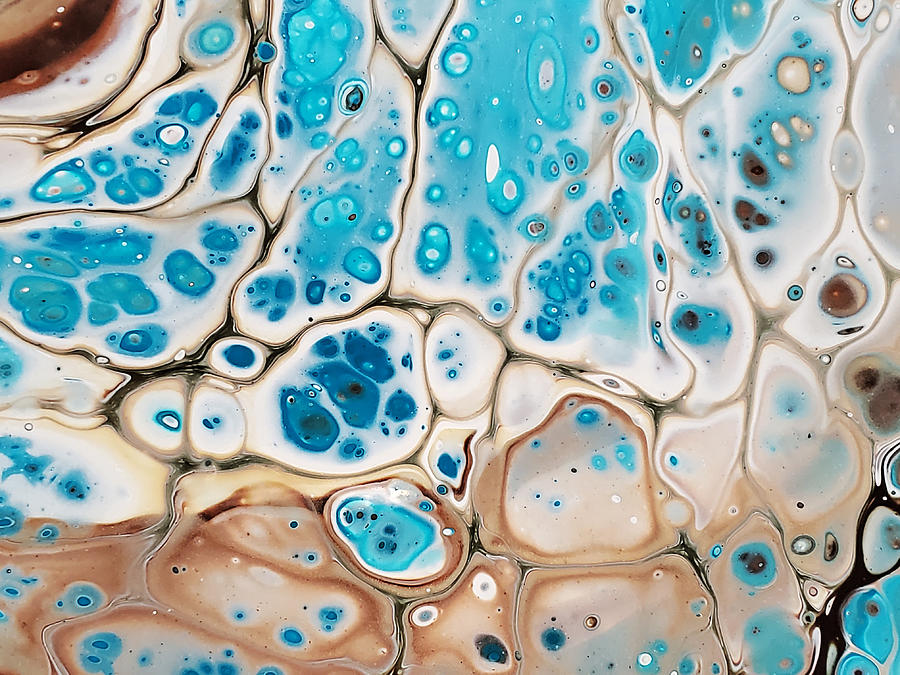 Blue Brown Lace With Large Cells Photograph